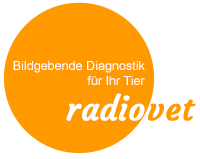 radiovet logo2 200